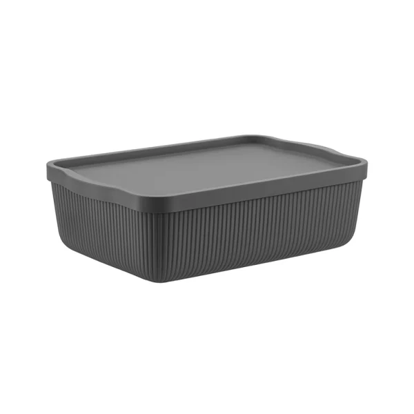 Boîte de conservation alimentaire