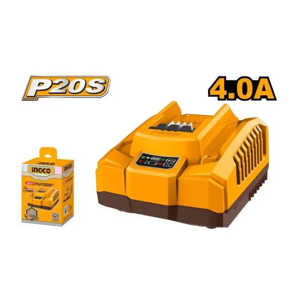 Chargeur rapide 20V 4.0A pour batteries P20S