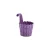Violet 1053