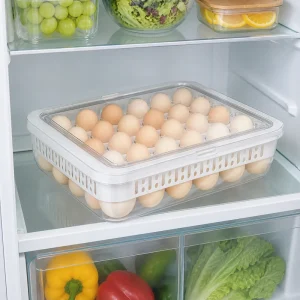 boite a oeufs 30 oeufs en contexte ak 681 b002